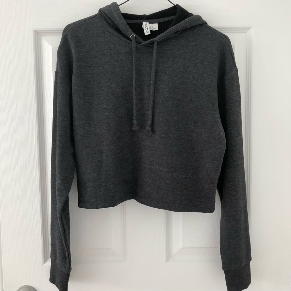 H&M Dividend Cropped Hoodie